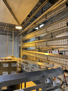 Dairy product containers are shown on a conveyor belt.